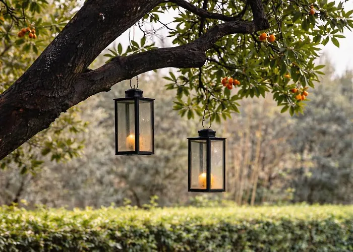 Casa Il Melograno - Relax Vicino Terme Grotta Giusti